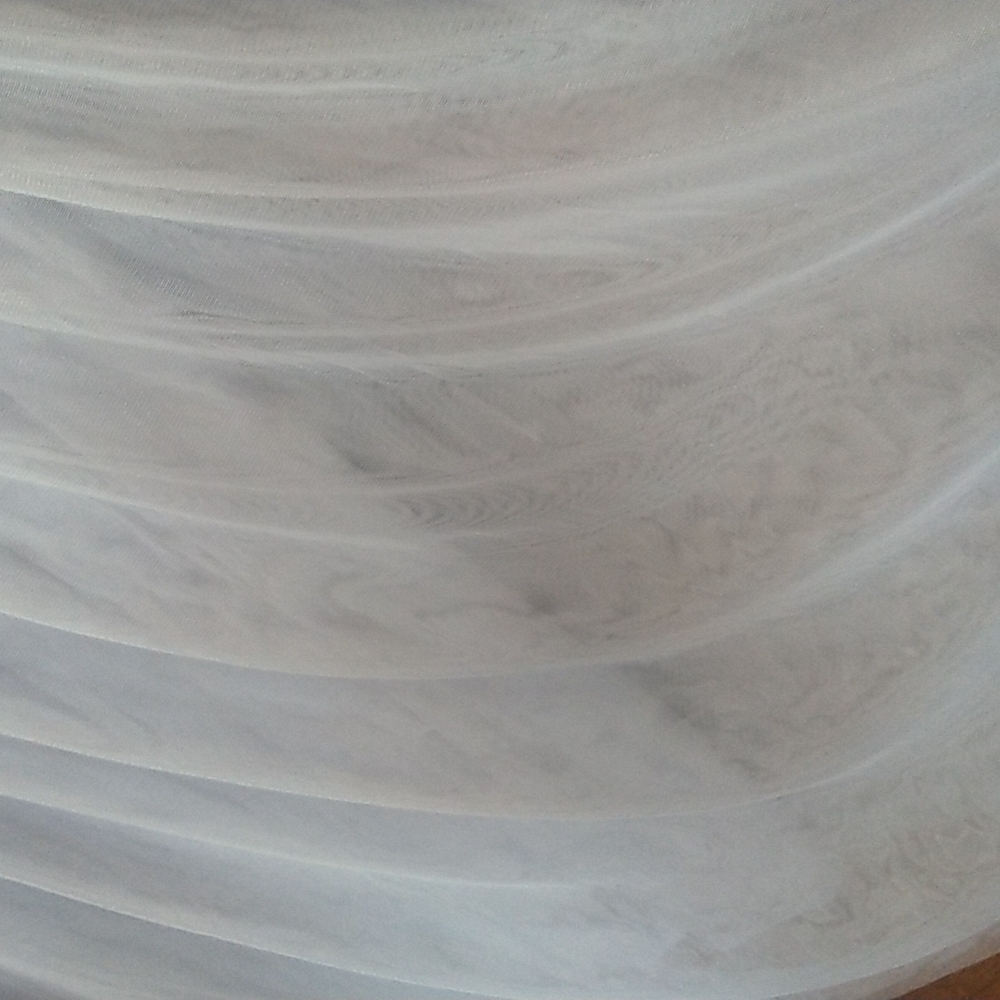 Adrianna Pappell Gown Mother of Bride - Picture 6 of 10